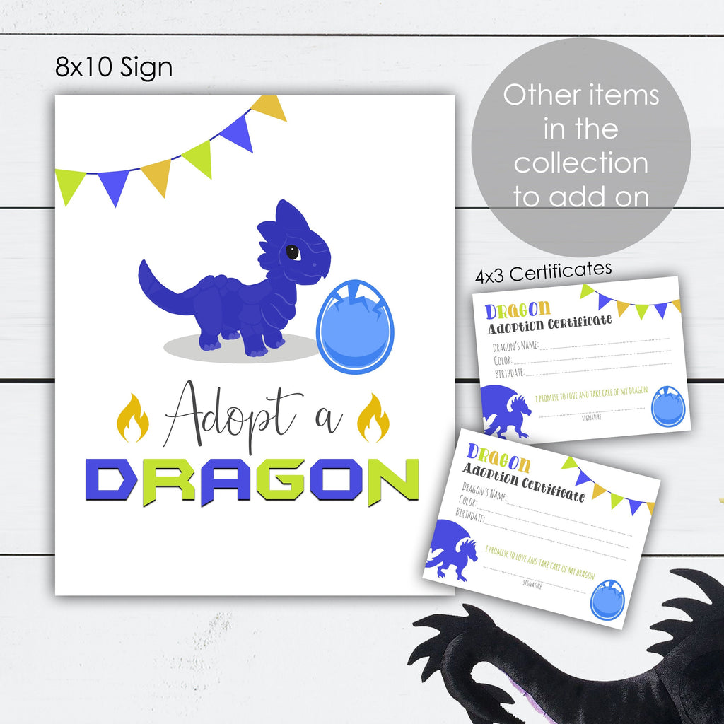 Dragon Birthday Party Dragon Name Tags and Sign Digital Files